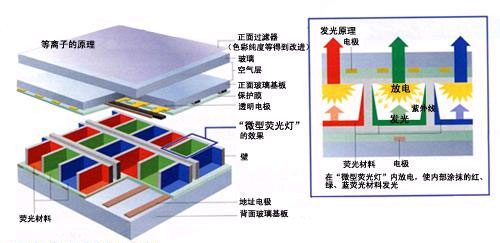 电泳成像原理是什么_白带是什么图片