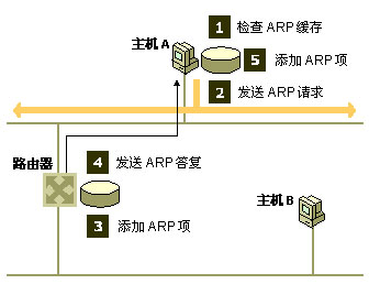 地址解析协议(ARP),地址解析协议(ARP)是