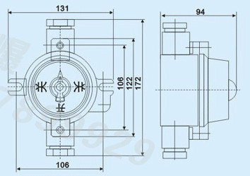 _P(gun)μb