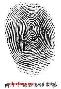 A random thumbprint image