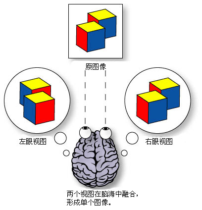 立体视觉示意图