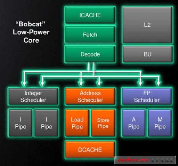 amd