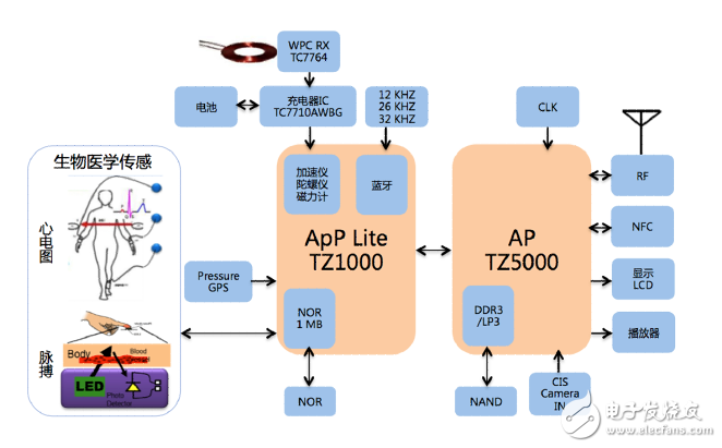 TZ1000