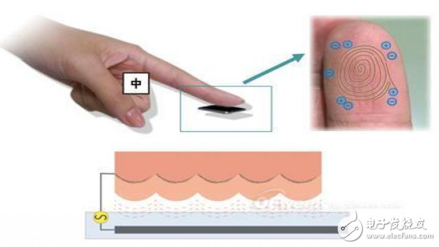 垂直射频 新型指纹识别技术助力智能手机更便利