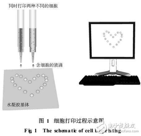 细胞打印技术及应用