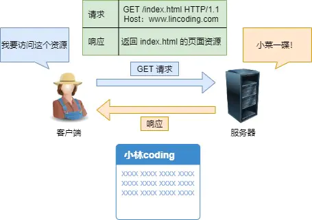 网络模型