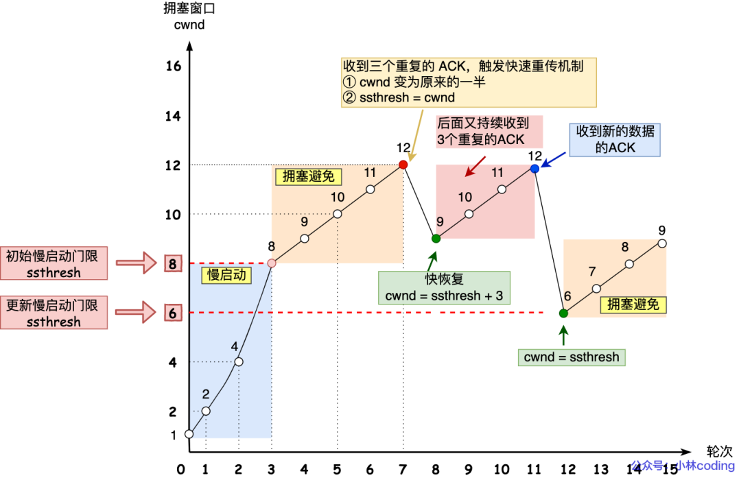 网络模型